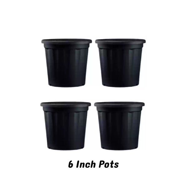 Set of 8 Nursery pots (6 Inch)