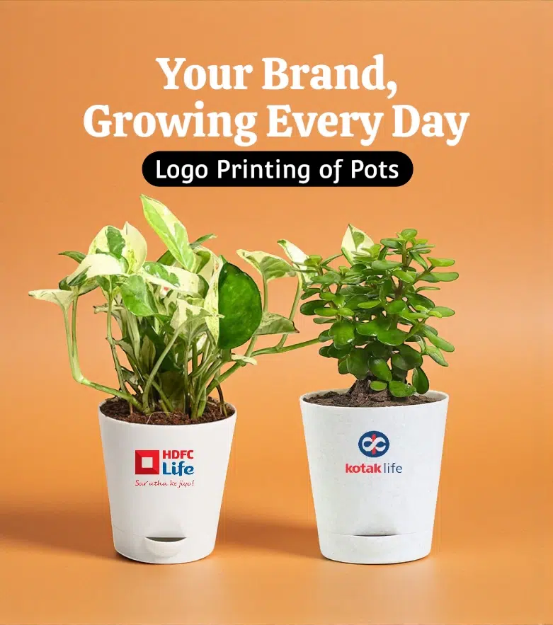 Logo printing on pots